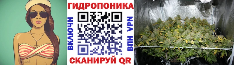 Шишки марихуана сатива  Верхний Тагил 